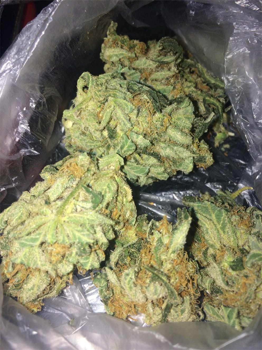 Photos of Cheese Candy Weed Strain Buds Leafly
