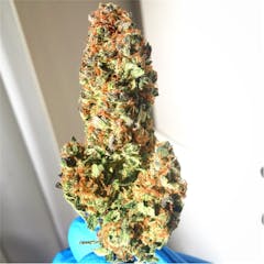 User uploaded image of Cheese Candy