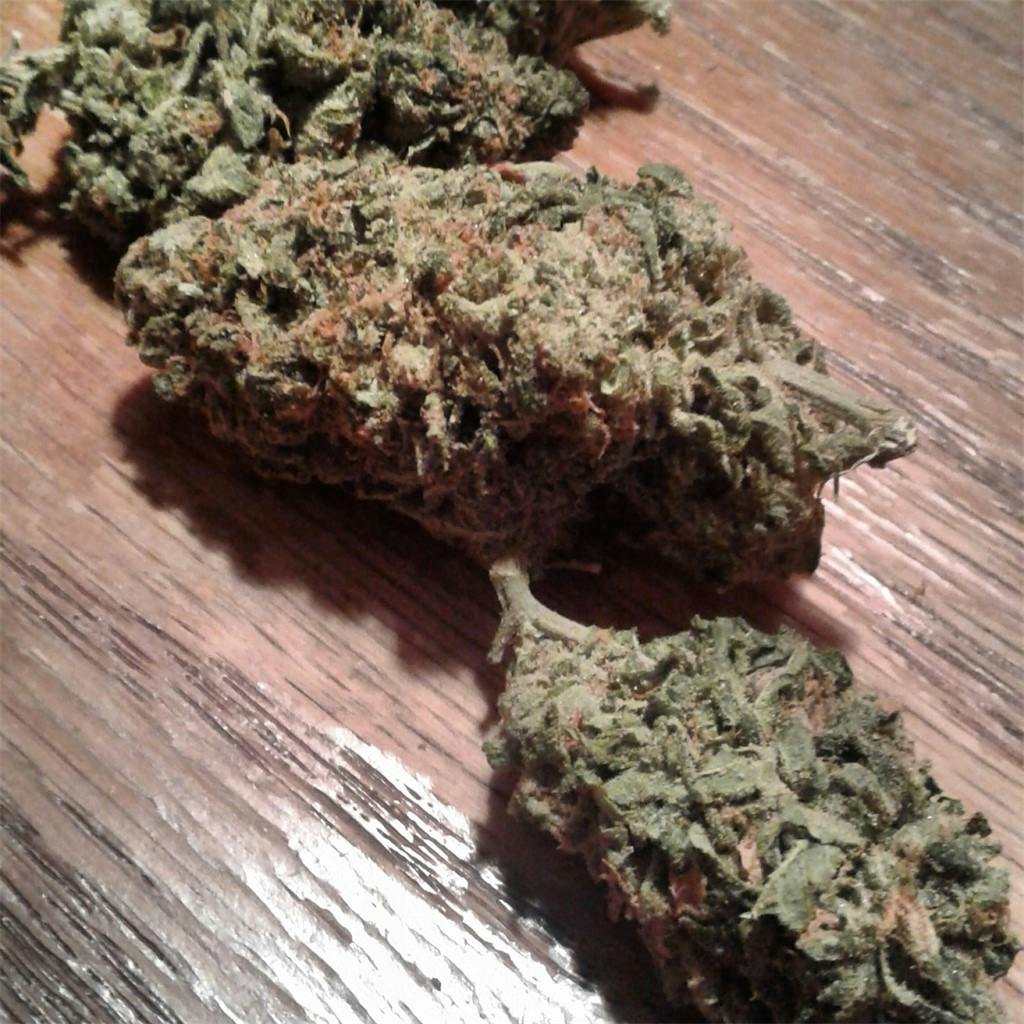 Cheese Quake Weed Strain Information Leafly