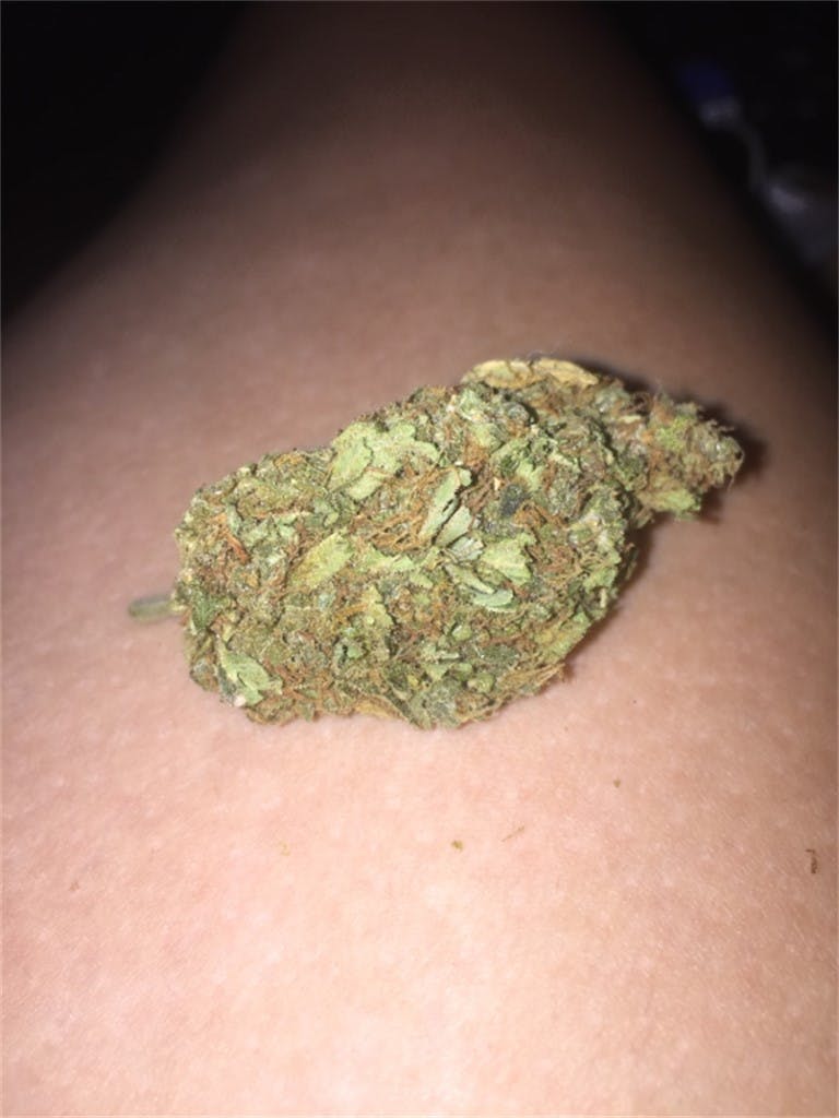 Cheese Quake Weed Strain Information Leafly