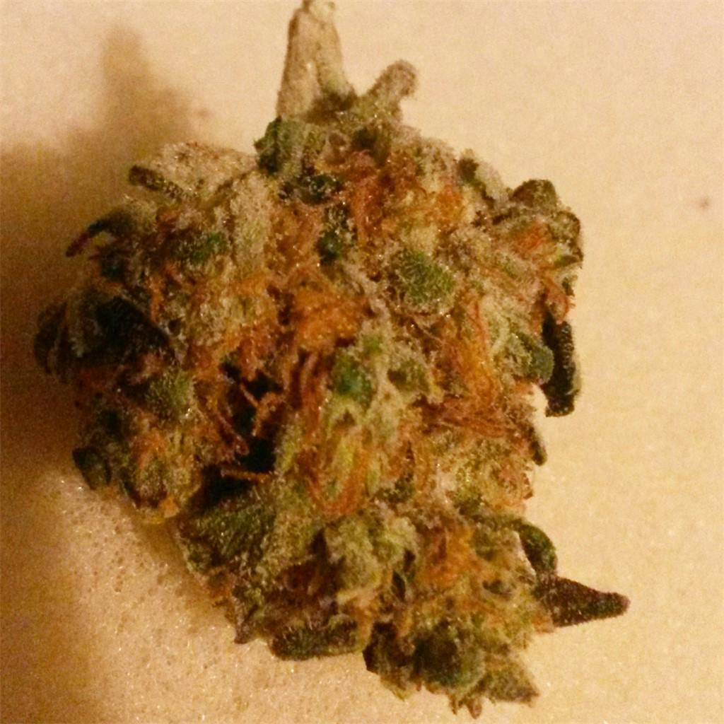 Cheese Quake Weed Strain Information Leafly
