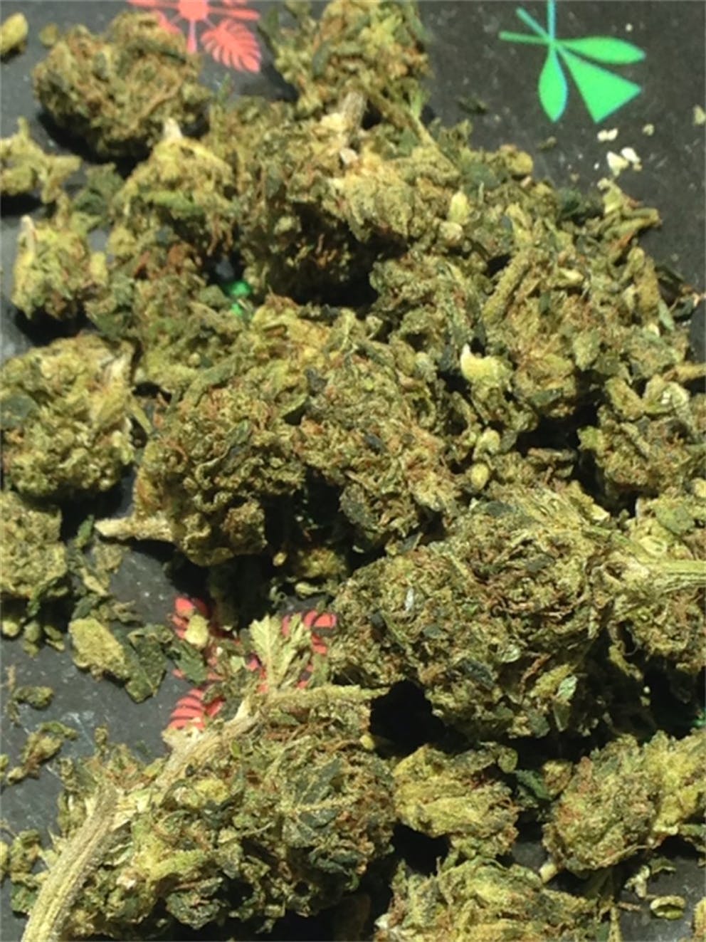 Photos of Cheese Quake Weed Strain Buds Leafly