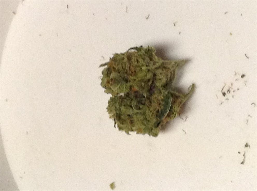 Photos of Cheese Quake Weed Strain Buds Leafly