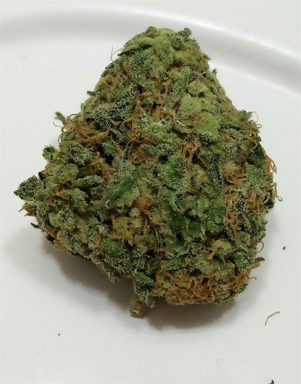 Photos of Cheese Weed Strain Buds Leafly