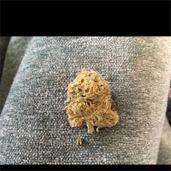 User uploaded image of Cheeseburger