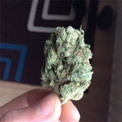 User uploaded image of Cheesewreck