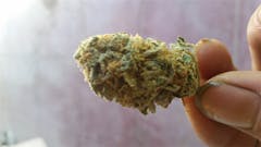 User uploaded image of Cheesewreck