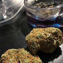 User uploaded image of Cheesewreck