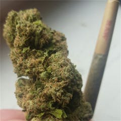 User uploaded image of Cheesewreck