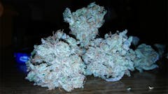 User uploaded image of Chem Sis