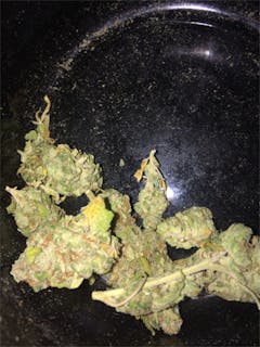 User uploaded image of Chem Sis