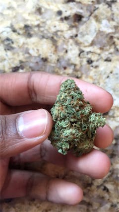 User uploaded image of Chem Scout