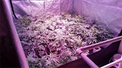 User uploaded image of Chem Scout