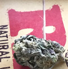 User uploaded image of Chem Scout