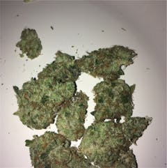 User uploaded image of Chem Scout