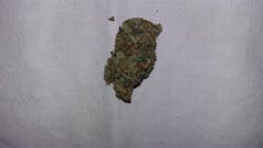 User uploaded image of Chemdog #4 x Alien OG Kush