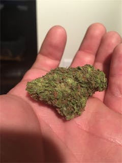 User uploaded image of Chemdog #4 x Alien OG Kush