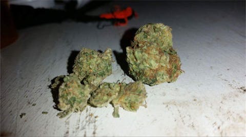 Chem 91 aka Chem #91, Chemdog 91, Chemdawg 91 Weed Strain Information ...