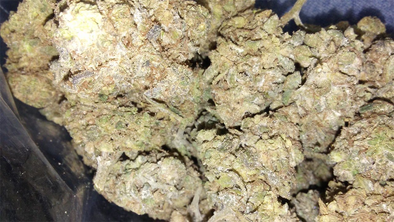 Sour Chem aka Chemdog Sour Diesel, Chem Sour, Chemdawg Diesel, Chemdog ...