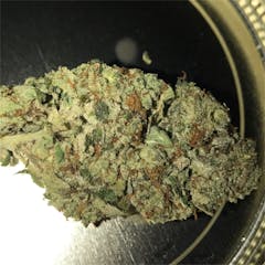 User uploaded image of Chemdawg