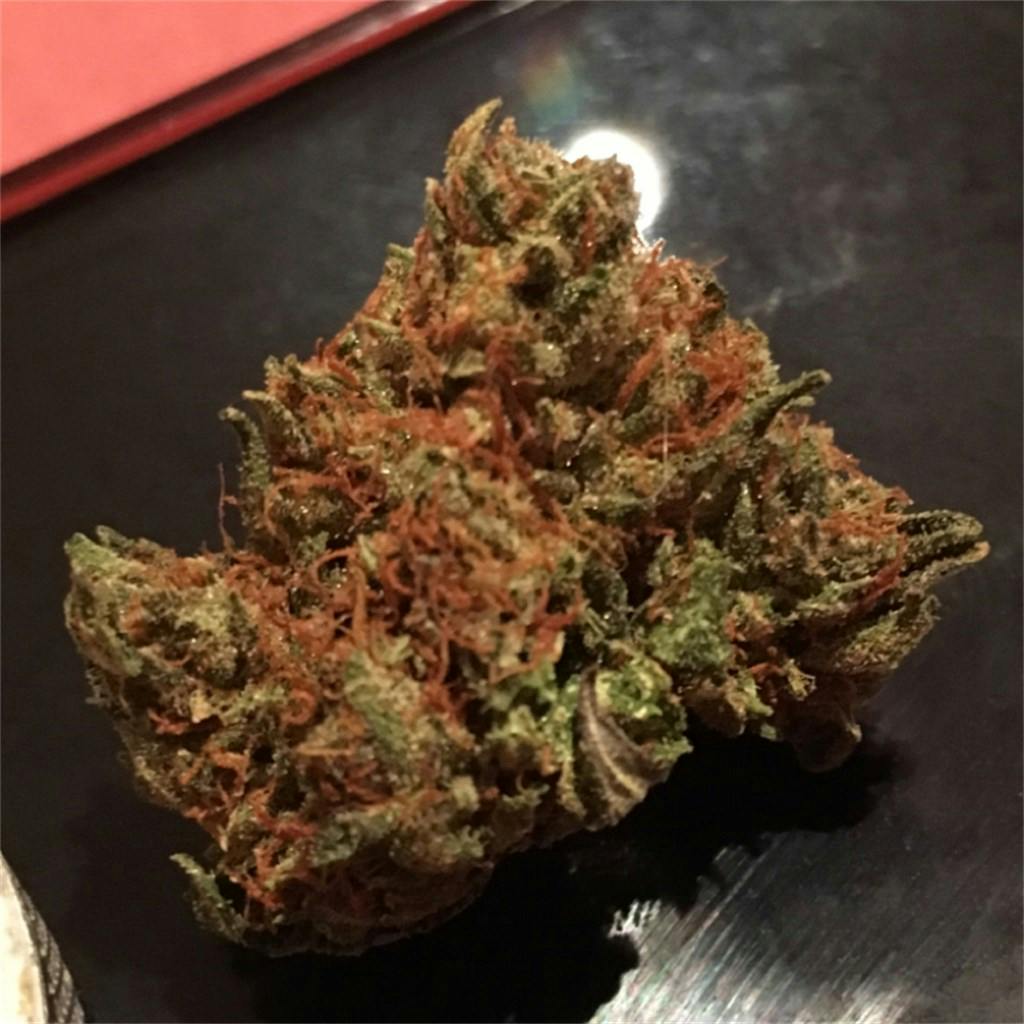 chemo-aka-ubc-chemo-kemo-weed-strain-information-leafly