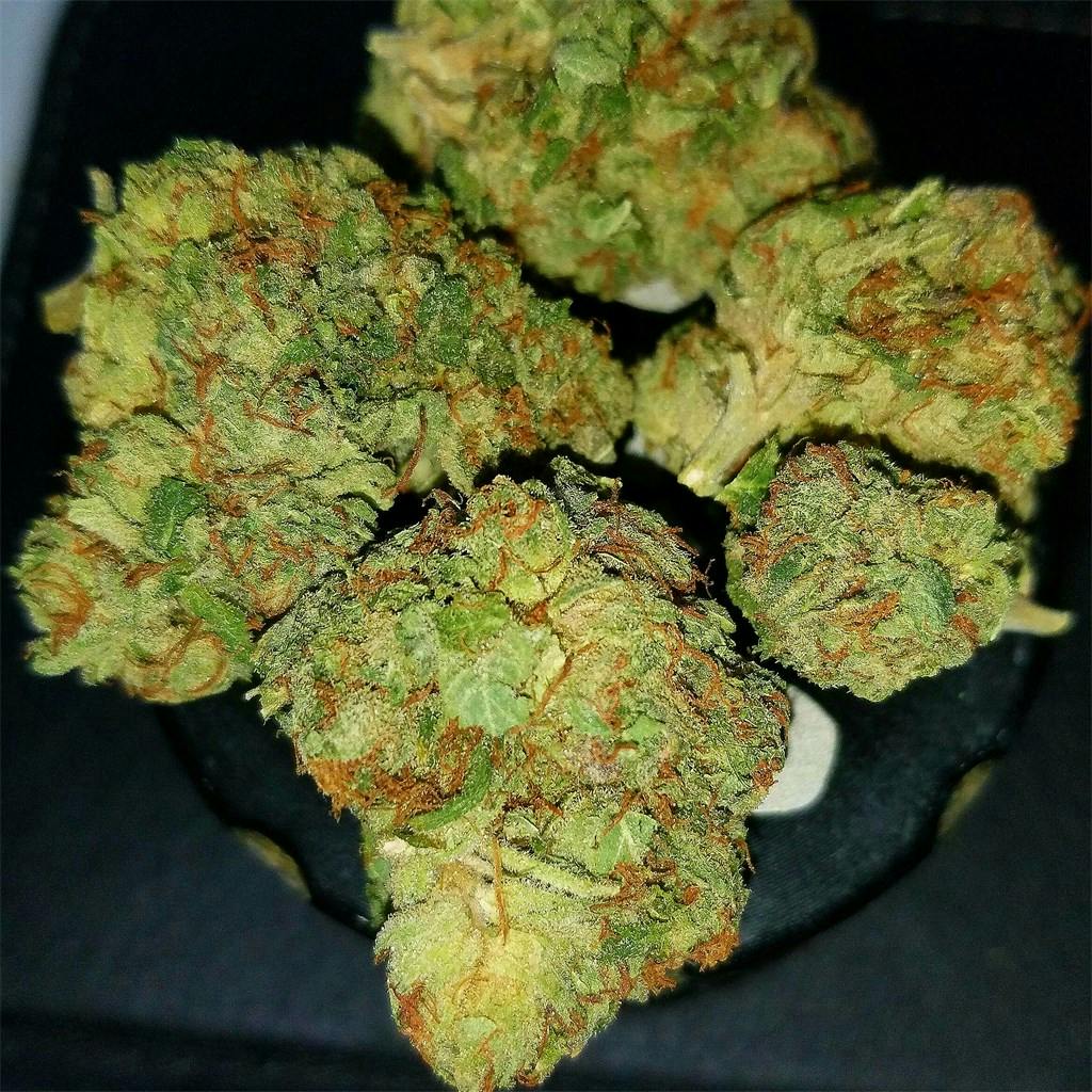 Chemo aka UBC Chemo, Kemo Weed Strain Information Leafly