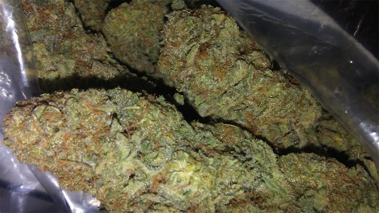 Chemo aka UBC Chemo, Kemo Weed Strain Information Leafly