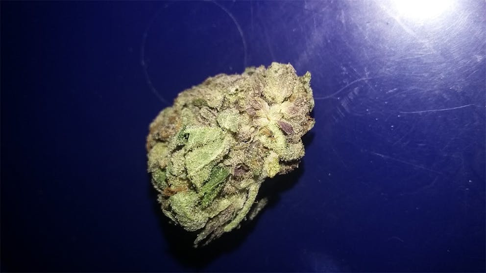 Photos of Chemo Weed Strain Buds Leafly