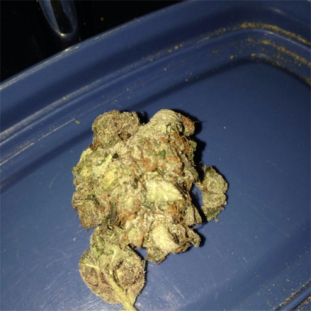 Chemo aka UBC Chemo, Kemo Weed Strain Information Leafly