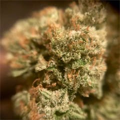 User uploaded image of ChemWreck