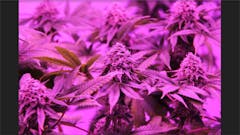 User uploaded image of Chernobyl