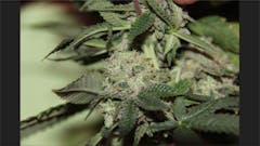 User uploaded image of Chernobyl