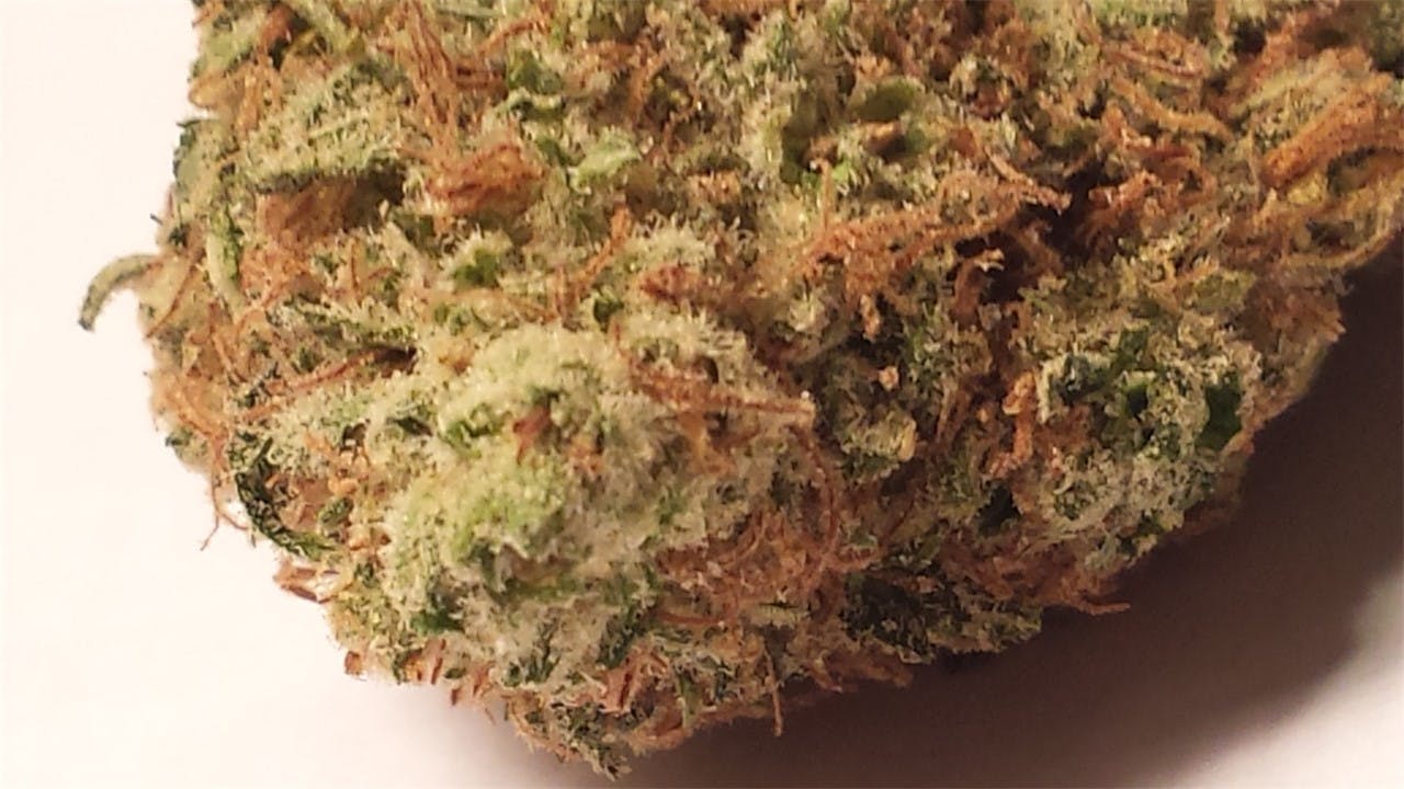Photos of Cherry AK47 Weed Strain Buds Leafly