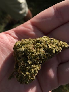 User uploaded image of Cherry AK-47