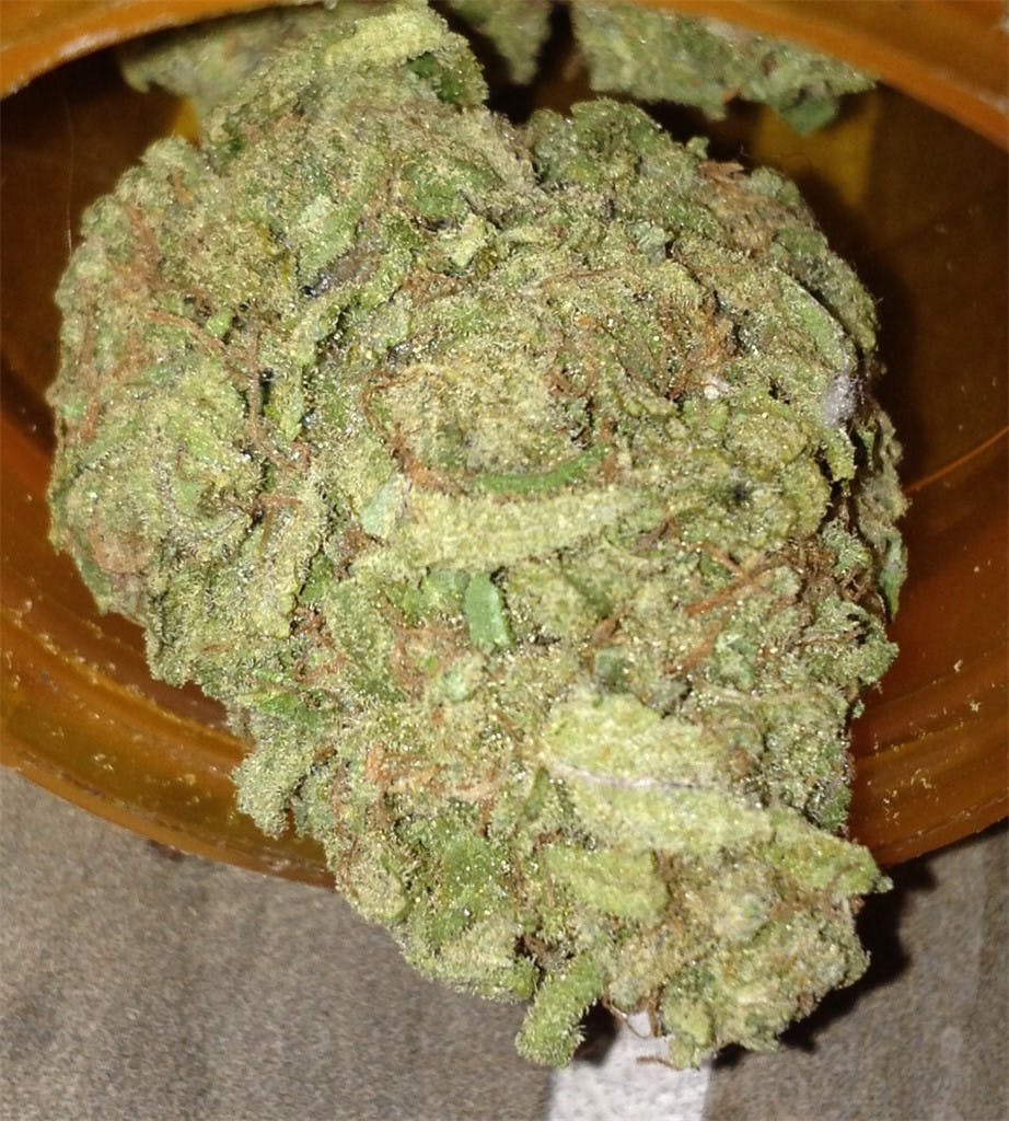 Photos of Cherry Bomb Weed Strain Buds Leafly