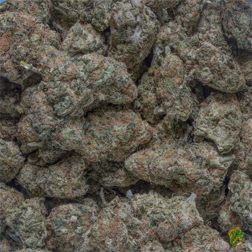 Photos of Cherry Bomb Weed Strain Buds Leafly