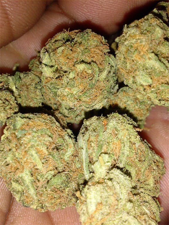 Photos of Cherry Bomb Weed Strain Buds Leafly