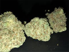 User uploaded image of Cherry Bomb