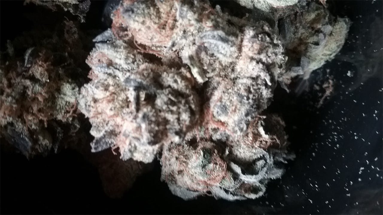 Cherry Cookies Weed Strain Information Leafly