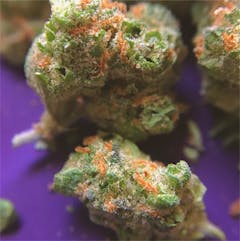 User uploaded image of Cherry Diesel