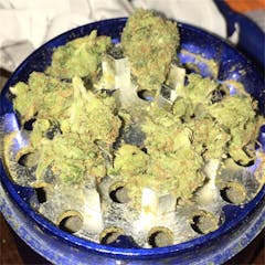 User uploaded image of Cherry Diesel