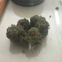 User uploaded image of Cherry Diesel