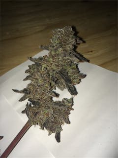 User uploaded image of Cherry Durban Poison