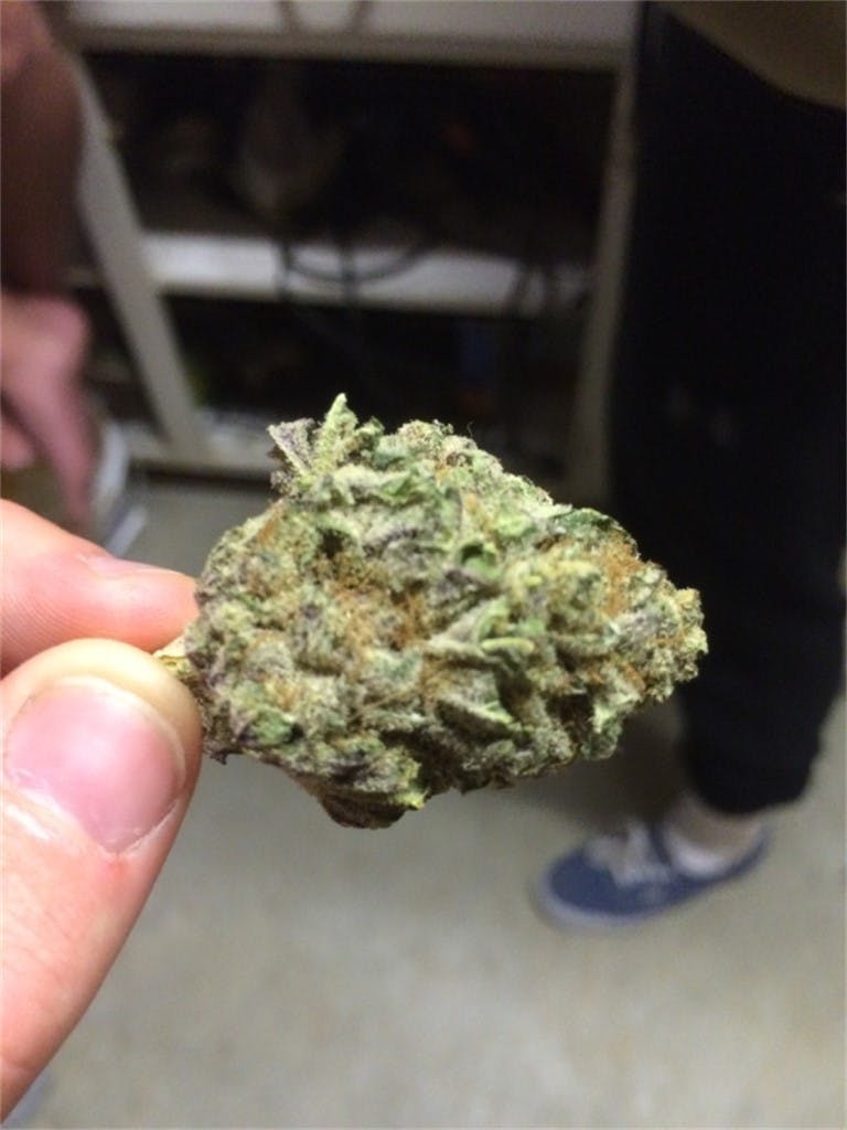 Cherry Cola aka Cherry Kola Weed Strain Information Leafly