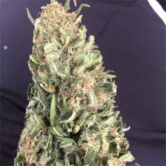 User uploaded image of Cherry Kush