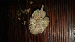 User uploaded image of Cherry Kush