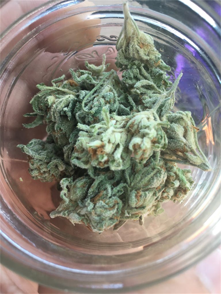 Photos of Cherry OG Weed Strain Buds Leafly