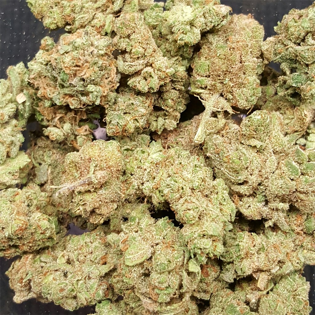 Cherry Pie Cannabis Strain Information - ILGM