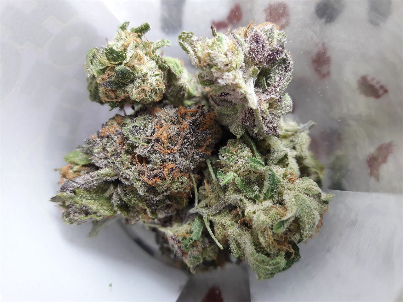 Photos of Cherry Pie Weed Strain Buds Leafly