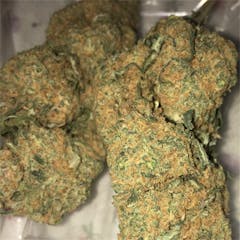 User uploaded image of Cherry Pie